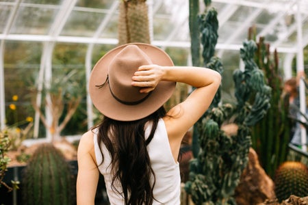 Greenhouse 2