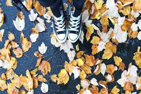 Meredith Kress leaves wet rain nature fall orange autumn black shoes converse jeans pavement outside logo?width=698&height=466&fit=crop&auto=webp
