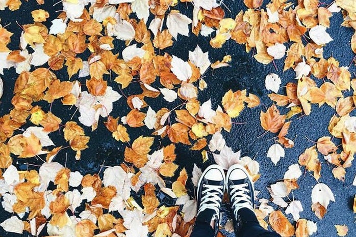 Leaves Converse Fall Sneakers Ground