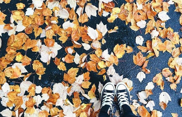 Leaves Converse Fall Sneakers Ground