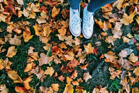 Meredith Kress-Converse And Fallen Leaves