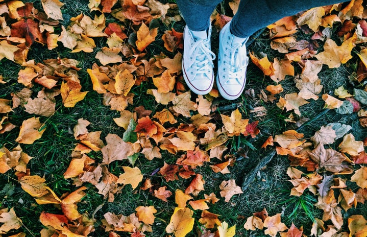 Meredith Kress-Converse And Fallen Leaves