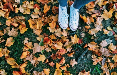 Meredith Kress-Converse And Fallen Leaves