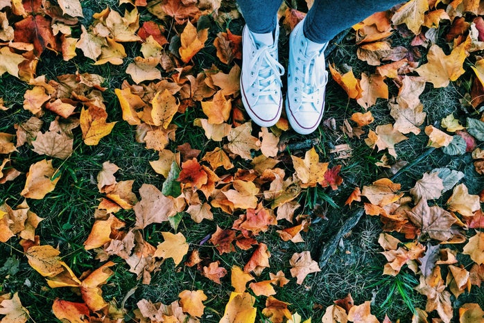 Meredith Kress converse and fallen leaves?width=698&height=466&fit=crop&auto=webp