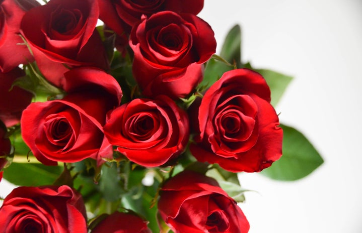 Jocelyn Hsu red roses?width=719&height=464&fit=crop&auto=webp