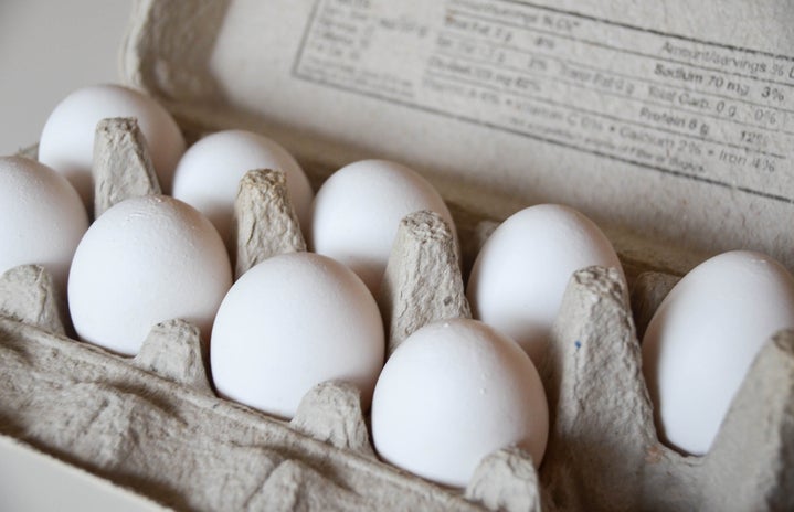 Jocelyn Hsu Eggs egg carton?width=719&height=464&fit=crop&auto=webp