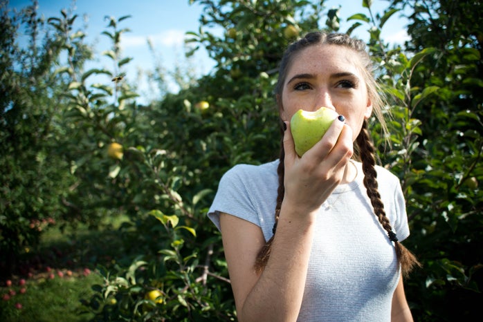 Alex Frank apple orchard girl?width=698&height=466&fit=crop&auto=webp