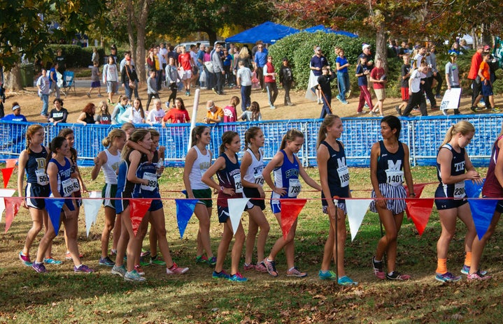 Sports Cross Country Girls In Line