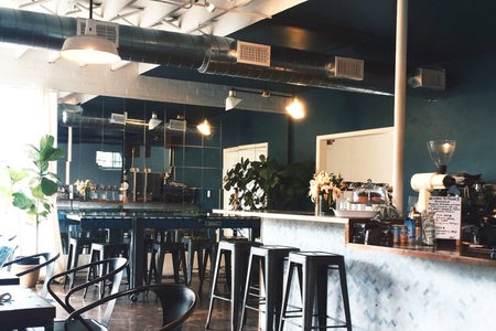 Figure8 Coffee Shop