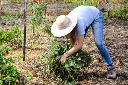 Girl At Farm