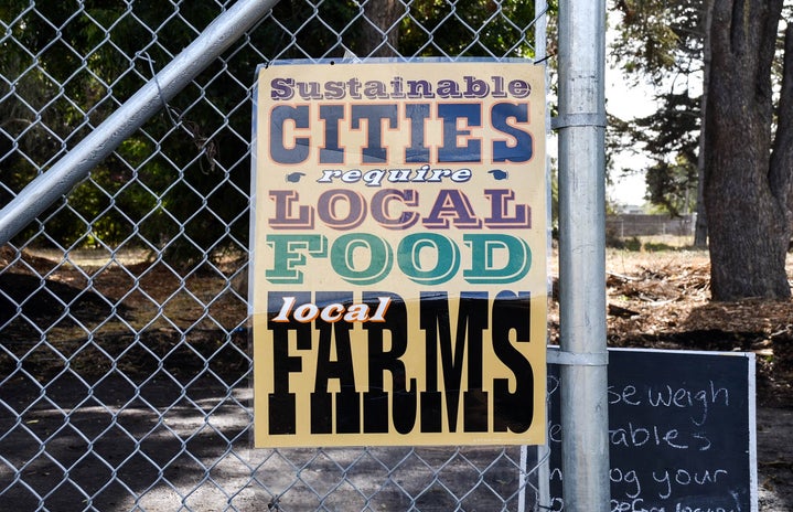 Local Farms Food