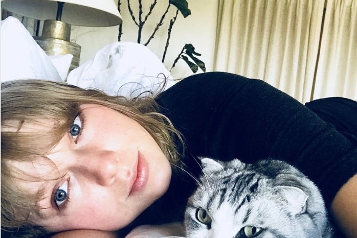 Taylor Swift Cats?width=698&height=466&fit=crop&auto=webp