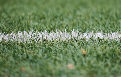 white and green grass at sports field