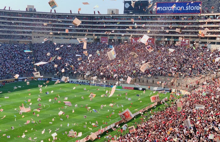 Packed soccer stadium celebrating