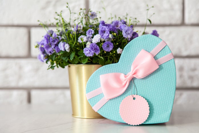 heart shaped gift w plant