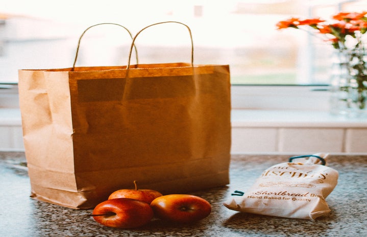 grocery bag with apple