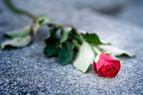 a single red rose lying on a black tabletop