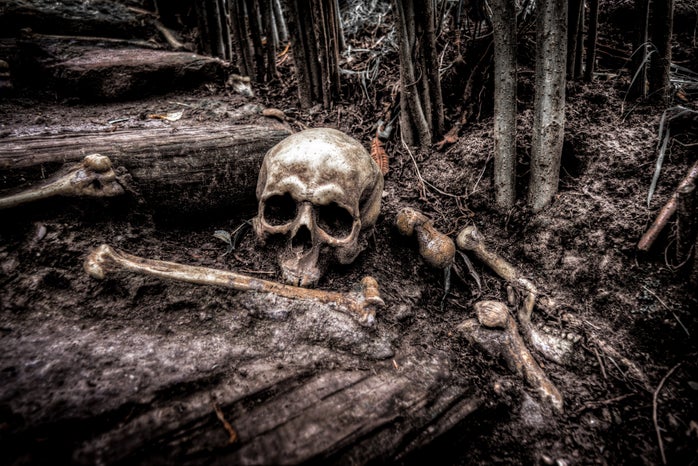 A skull and bones sits in a forest, grey scale