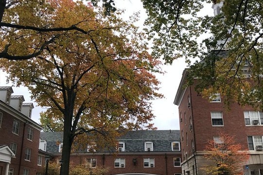 ohio university east green fallpng by Hannah Moskowitz?width=698&height=466&fit=crop&auto=webp