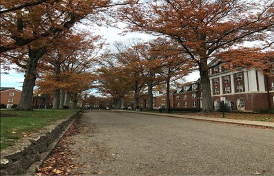 Ohio University Fall East Green