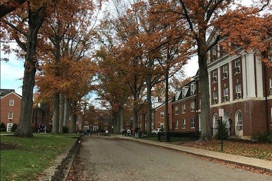 ohio university fall east greenpng by Hannah Moskowitz?width=698&height=466&fit=crop&auto=webp