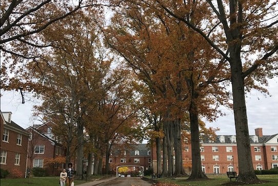 Ohio University Leaves Fall East Green