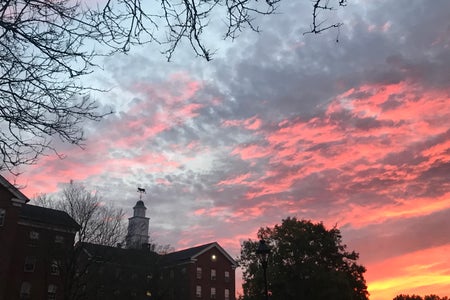 Ohio University Sunset Wray House Back South