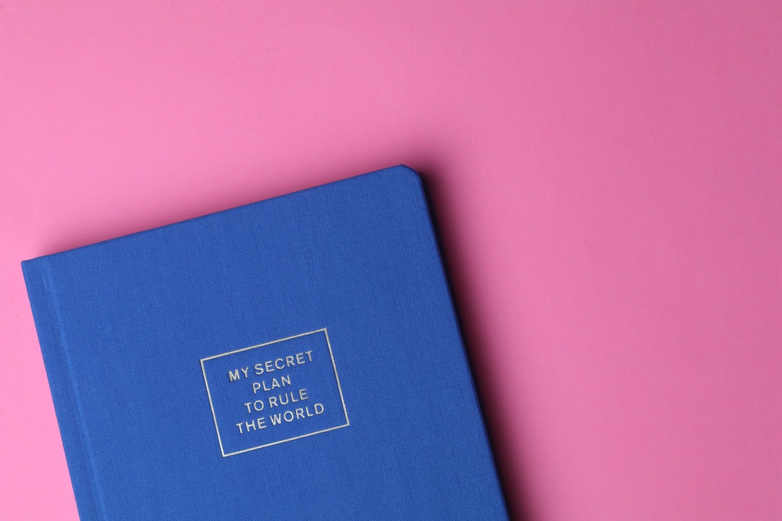 blue notebook saying my secret plan to rule the world on cover with pink background