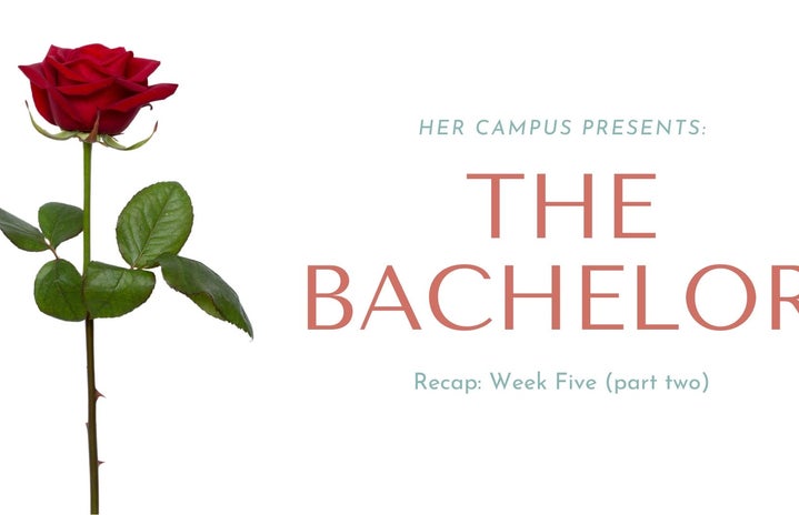 the bachelorjpg by Photo by Canva?width=719&height=464&fit=crop&auto=webp