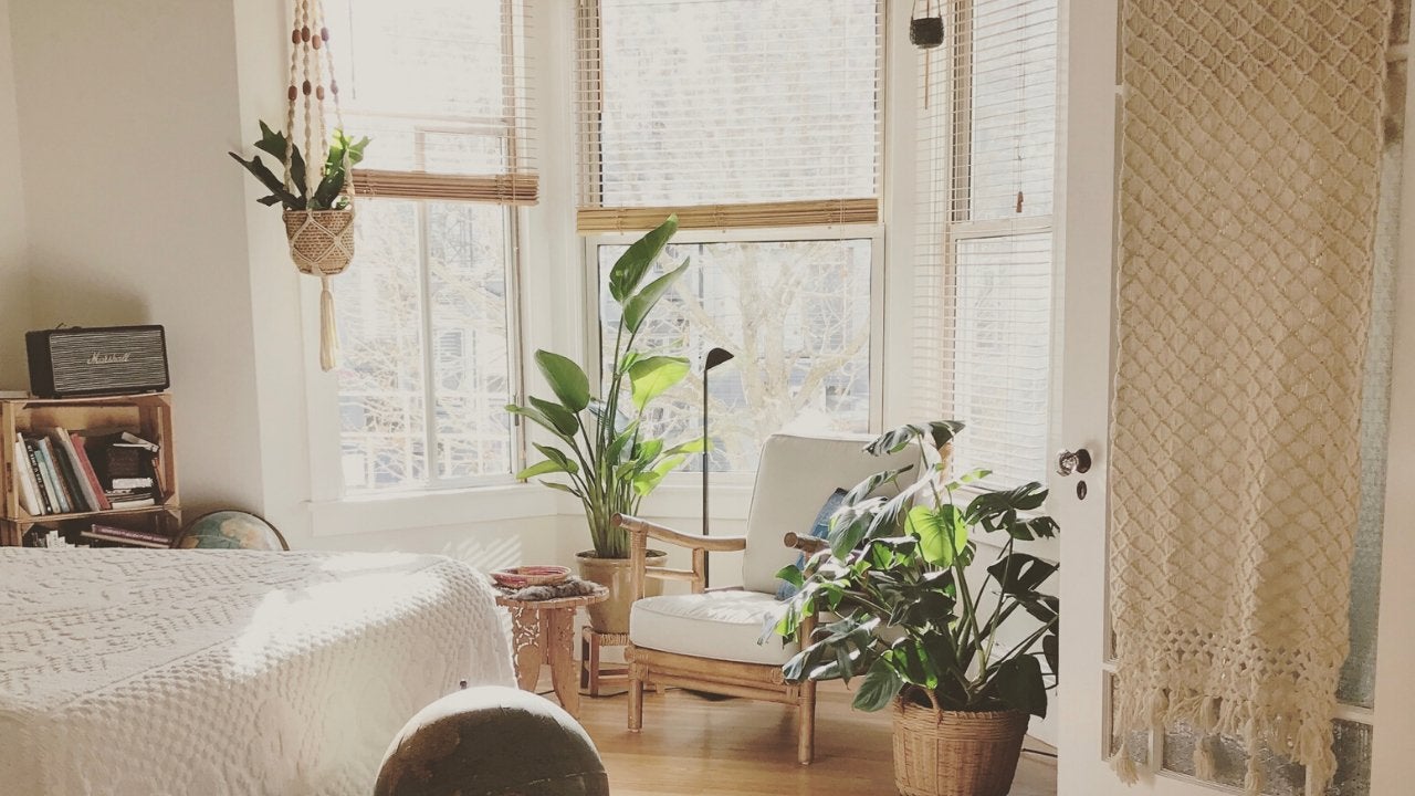 Bright living room area with green plants