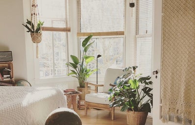 Bright living room area with green plants