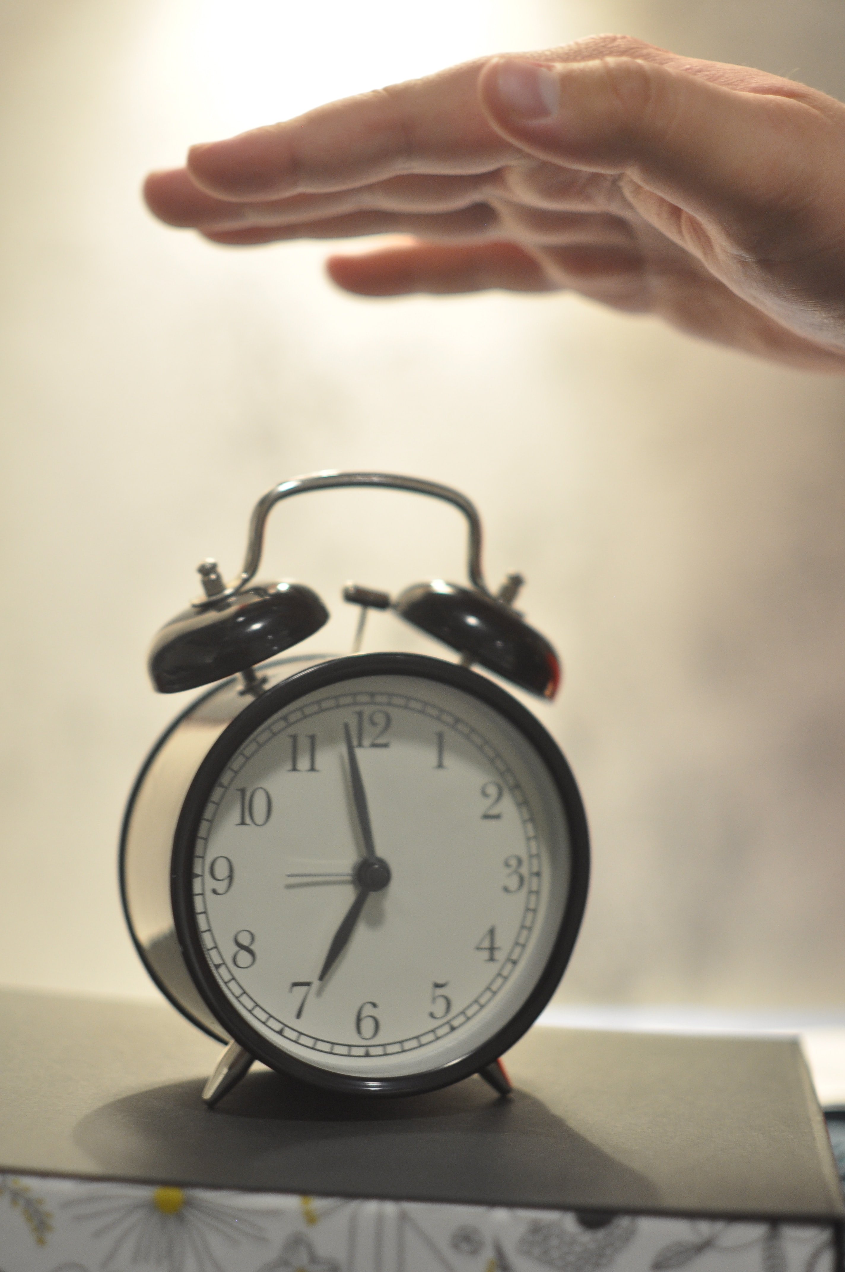 A College Student’s Sunday: Procrastination, Panic, and Plans That ...