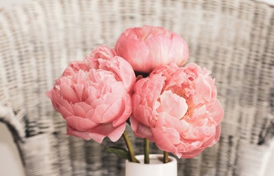 three pink peonies in a vase
