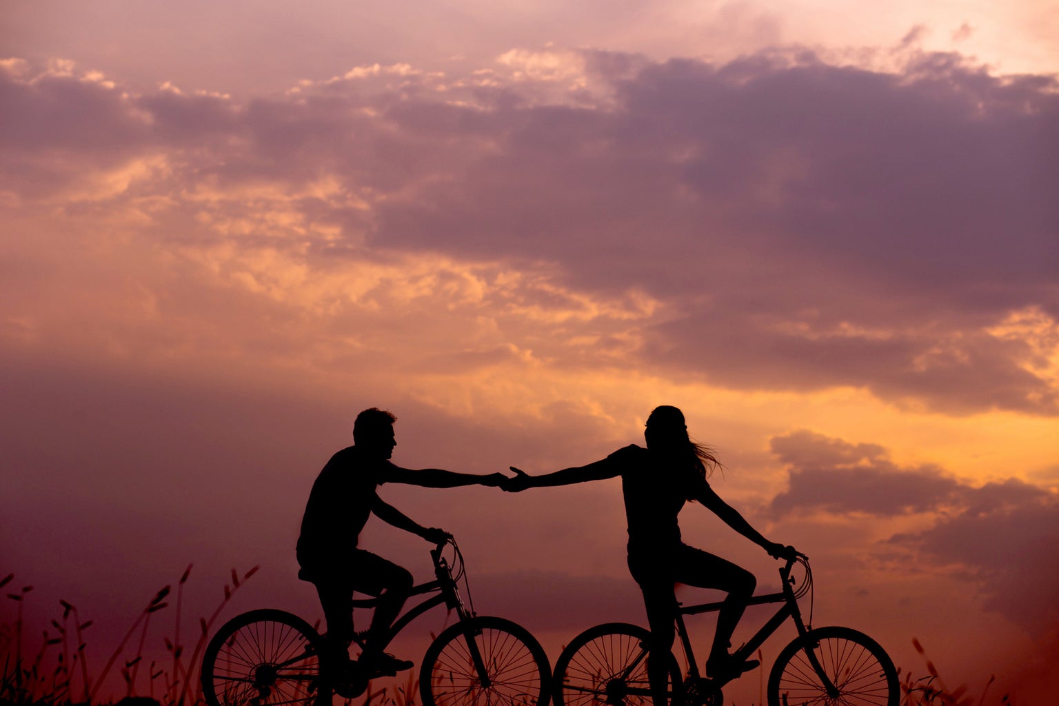 people riding on bikes during sunset