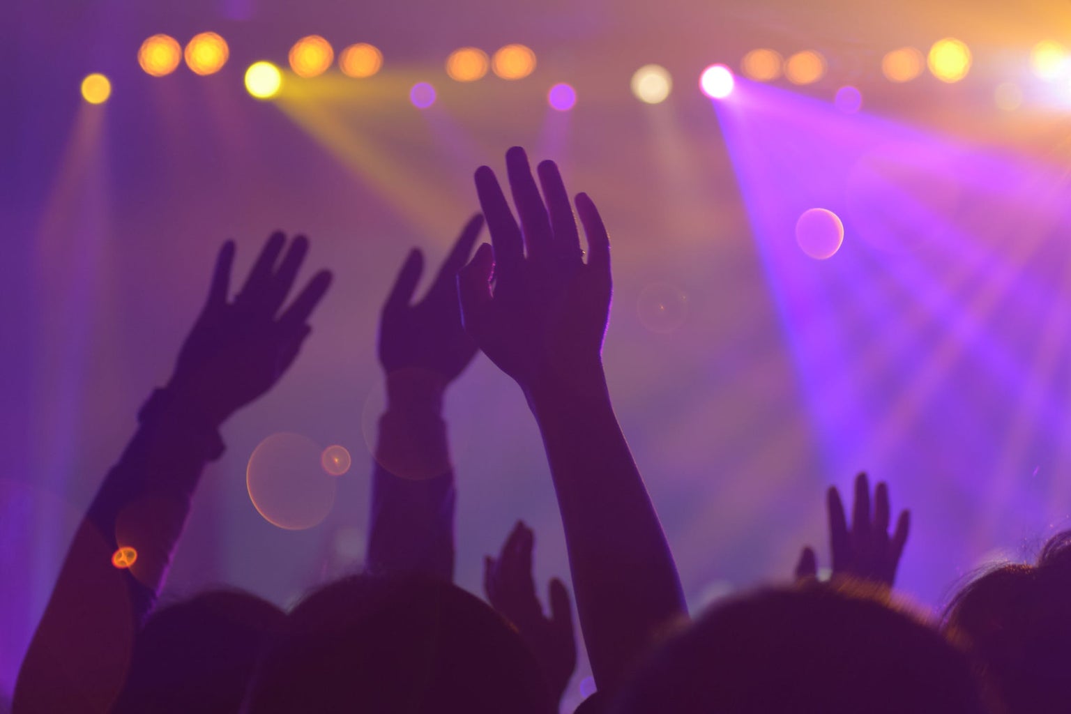 people with their hands raised during a concert