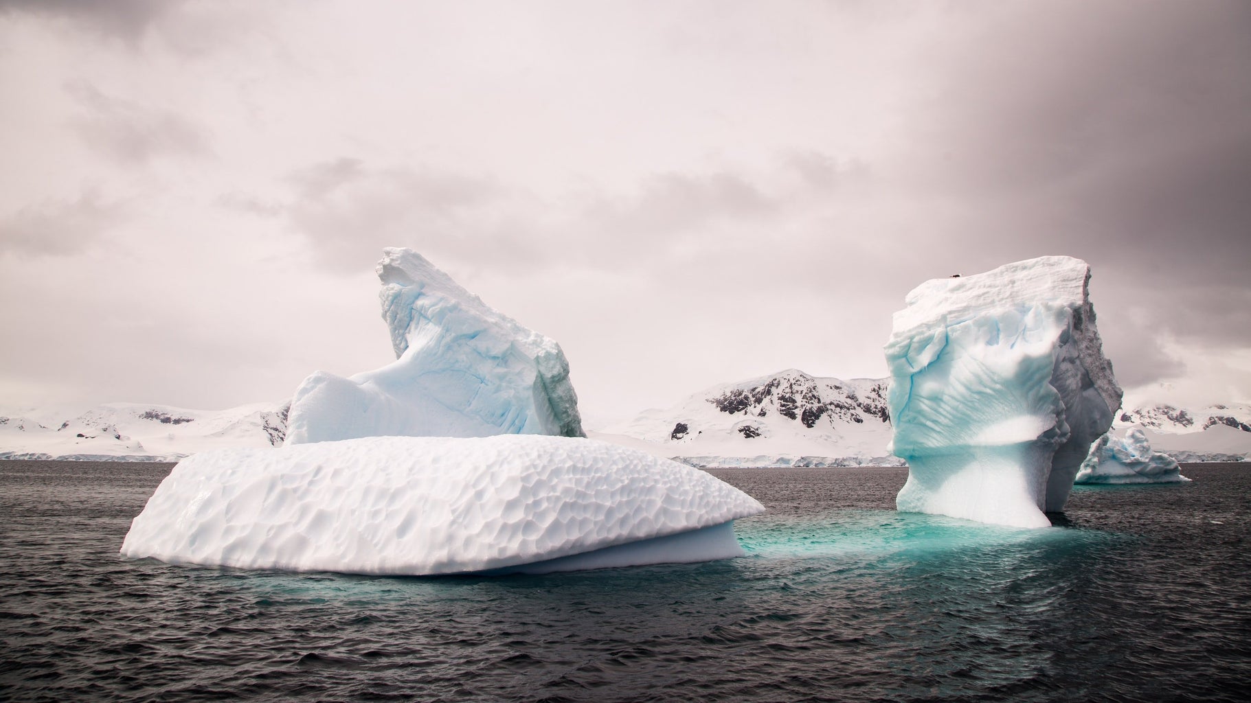 melting iceberg