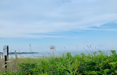 Rhode Island beach with grass