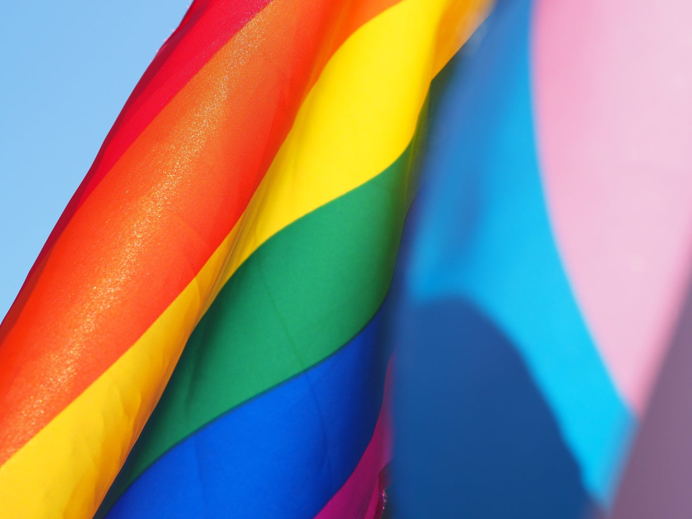 LGBT pride flag and trans pride flag