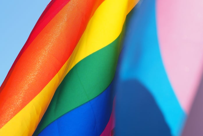 LGBT pride flag and trans pride flag