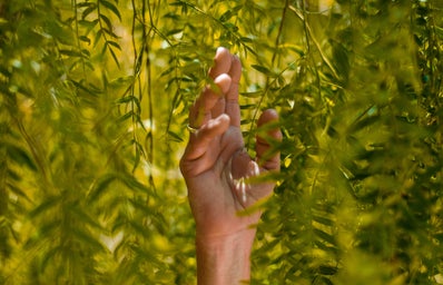 person holding green leaf