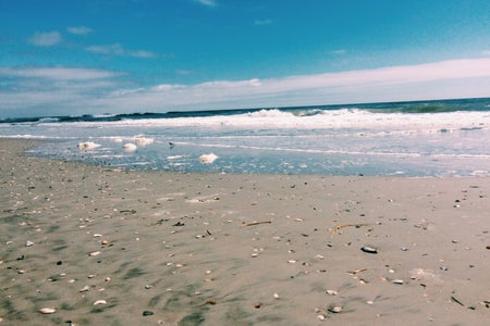Ocean