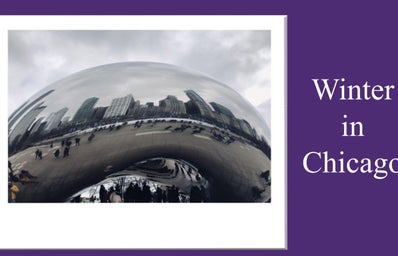 A picture I took of the Chicago bean plus my purple background