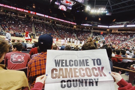basketball, university of south carolina