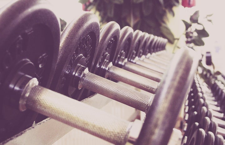 Row of dumbbells in a gym