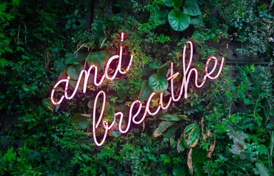 a pink neon "and breathe" sign over a plant wall