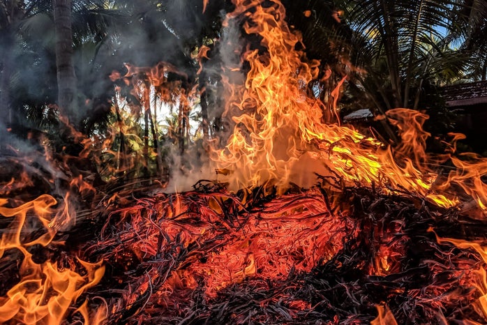 Forest fire?width=698&height=466&fit=crop&auto=webp