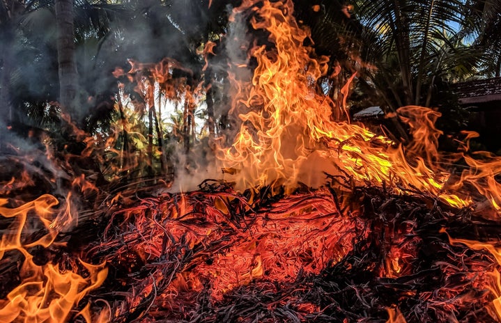 Forest fire?width=719&height=464&fit=crop&auto=webp