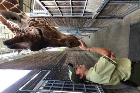 Tiara feeding giraffe