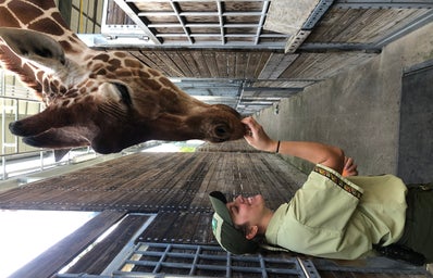 Tiara feeding giraffe