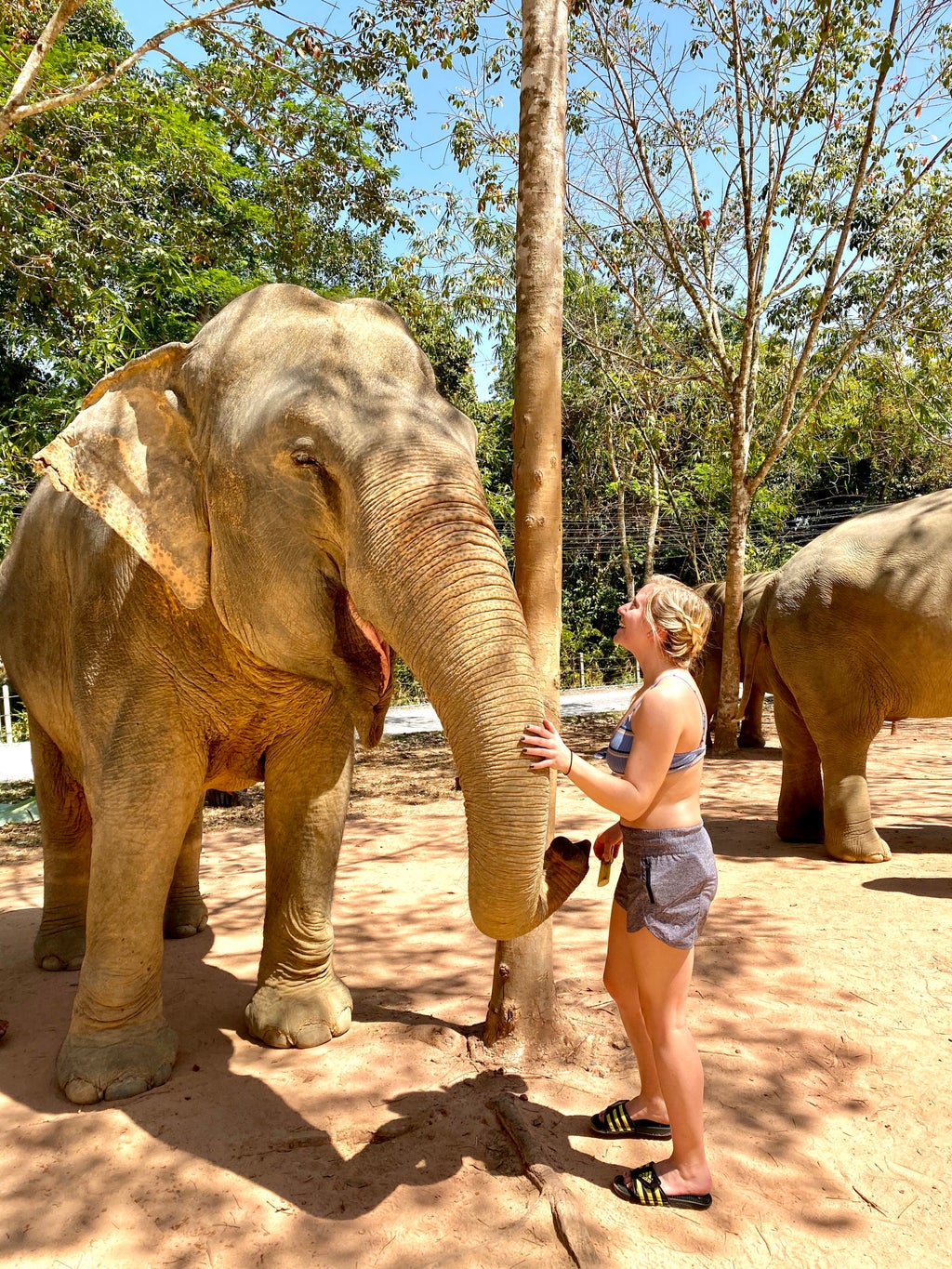 girl with elephant in Thailand
